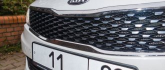 How to select and install a mesh on the radiator grille